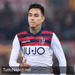 Napoli su Pulgar ma il Bologna è tranquillo, Sabatini confessa: “Non ho timore di perderlo”