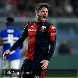 Schone impossibile per il Napoli: lo vieta il regolamento FIFA