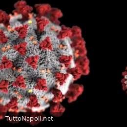Francia, il primo caso di Coronavirus a dicembre 2019? Sarebbe il paziente uno in Europa