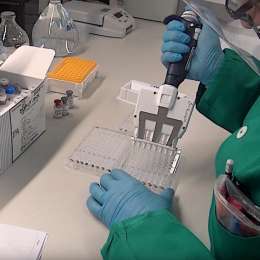 La drammatica previsione dagli USA: “Pandemia durerà ancora 18-24 mesi”