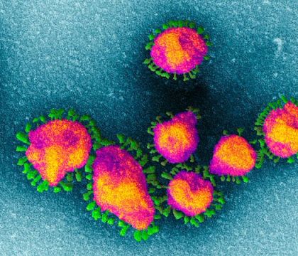 La guerra dei virologi per stabilire la contagiosità dei positivi