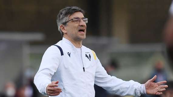 Juric, non solo il Napoli: è l’alternativa a Gattuso per la Fiorentina
