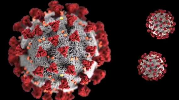 Coronavirus, il bollettino nazionale: 881 nuovi casi e 17 decessi