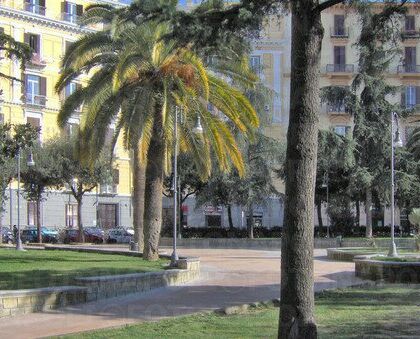 Domenica è la Giornata Nazionale degli Alberi: a Napoli una mattinata nel verde con il Premio GreenCare