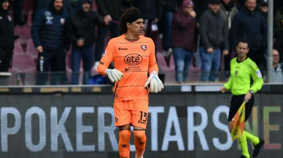 Salernitana-Bologna, le formazioni ufficiali: Ochoa ancora preferito a Sepe